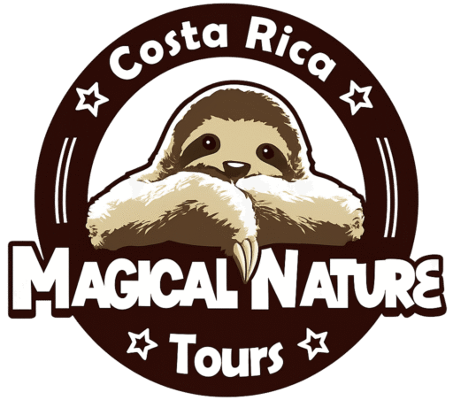 magicalnaturetourscostarica.com