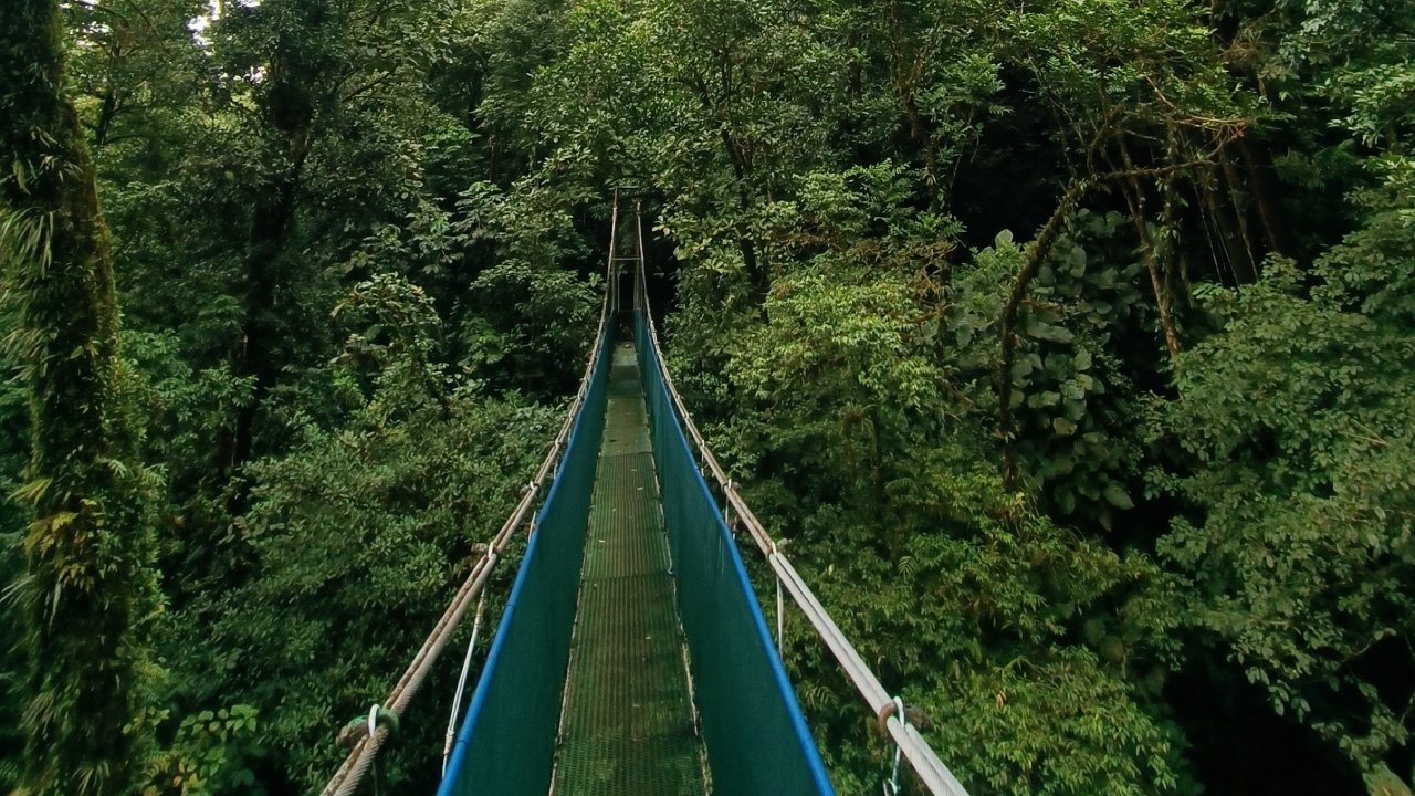 Rio Celeste Sloth Tour